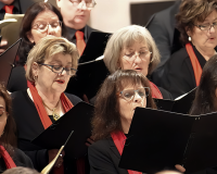 DSC07439 bearbeitet 1-1